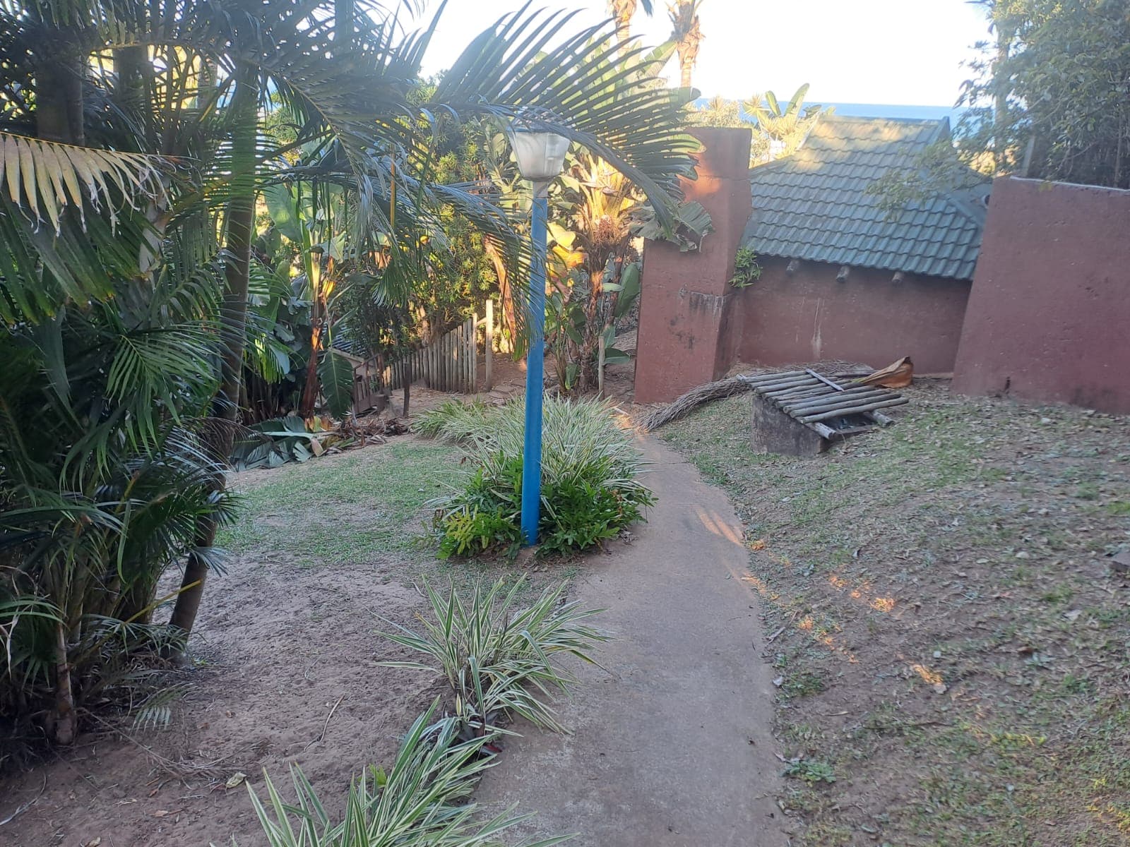 Garden pathways under the palms