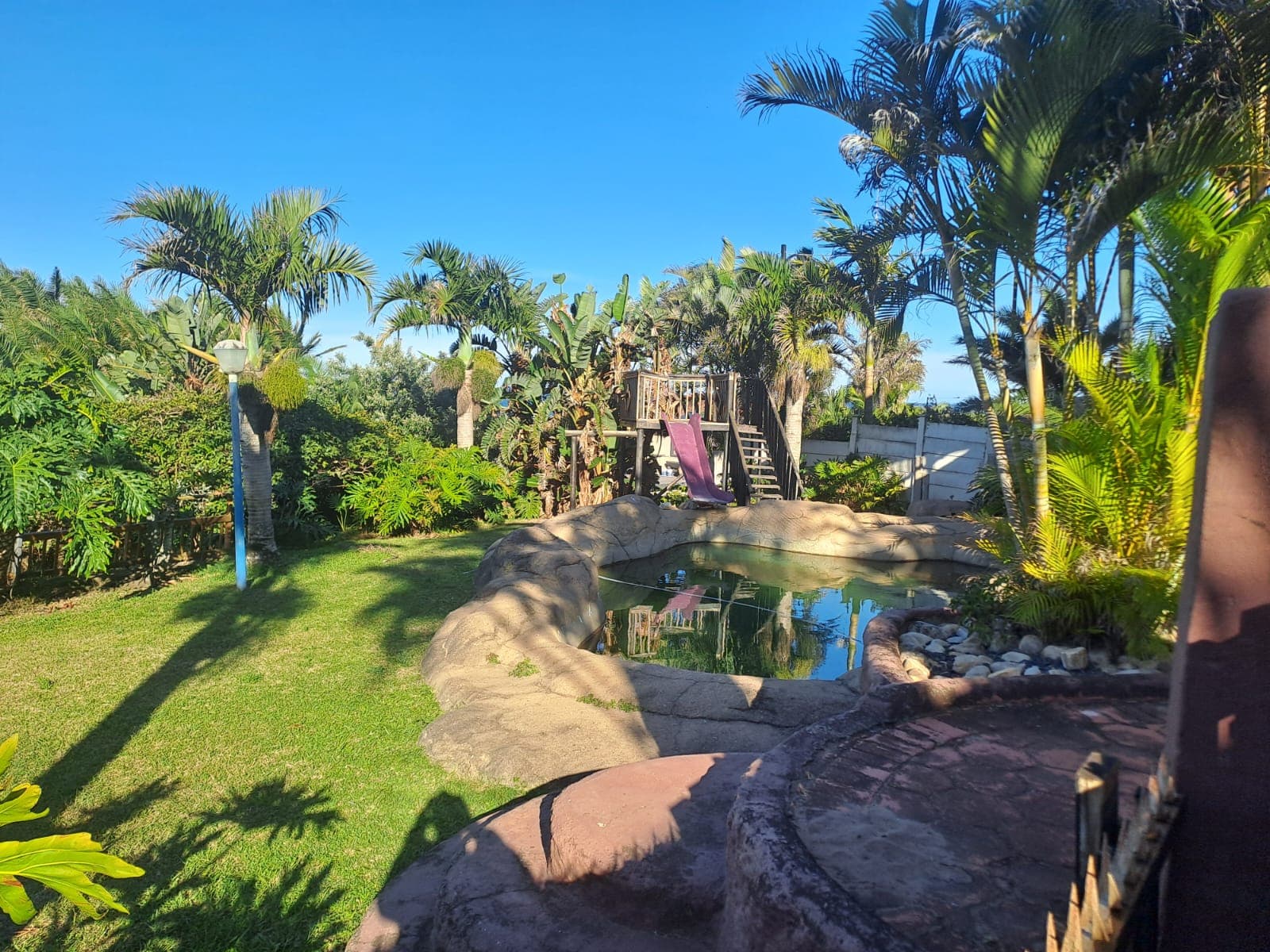 Rock pool surrounded by palms